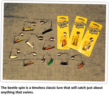 The Beetle Spin: Catch More Fish! 