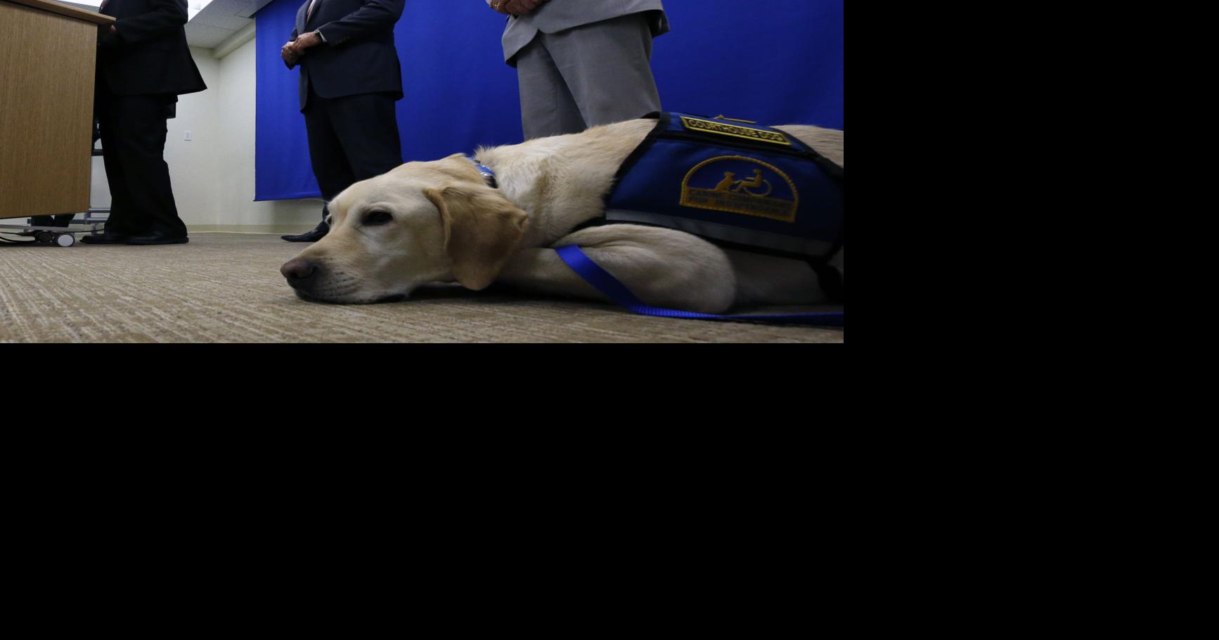 Bills on use of courthouse facility dogs advance