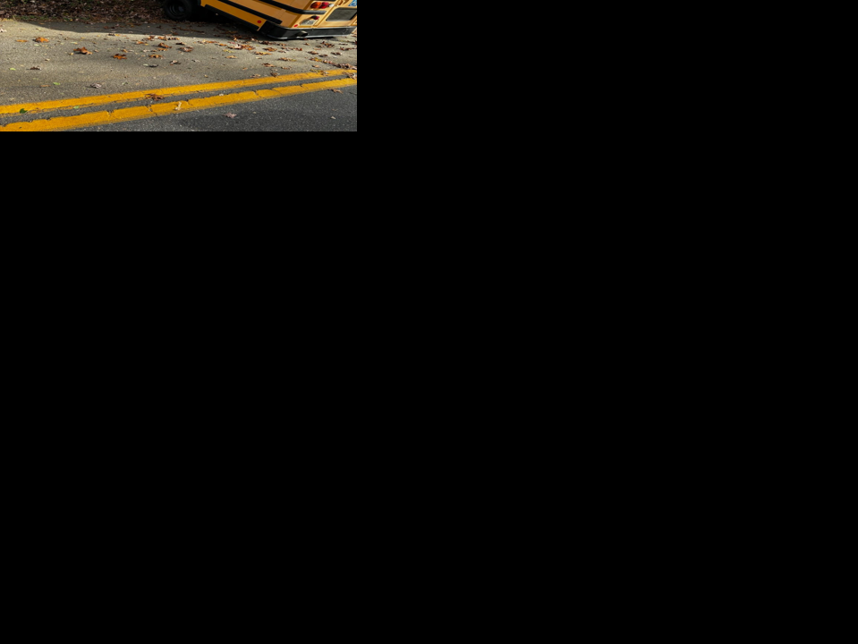 2 hospitalized after school bus crash in Greene County