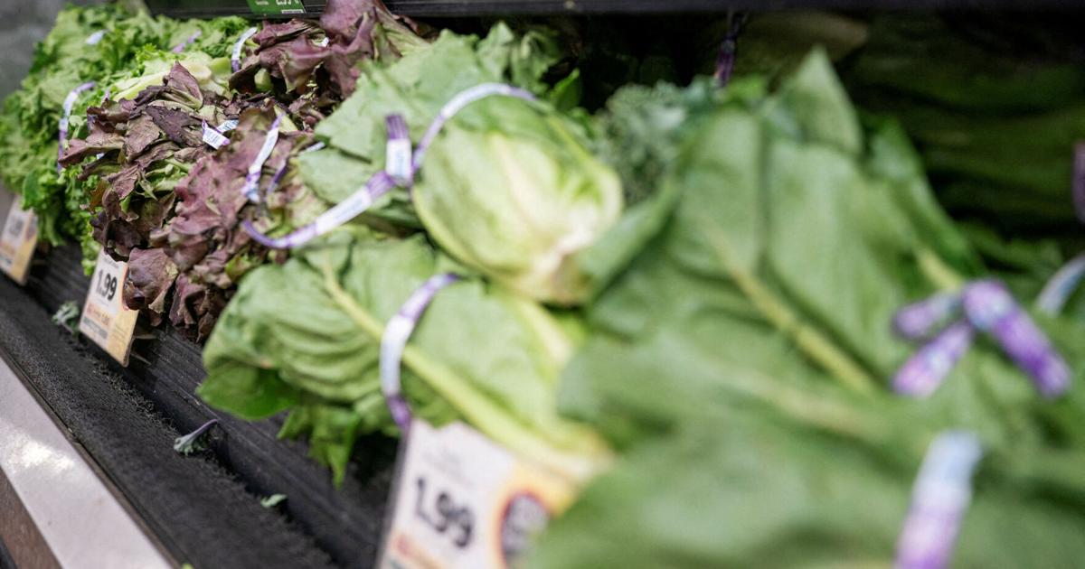 US diners avoid restaurants as cyclosporiasis fears cut lettuce sales Tom Polansek and Anuja Bharat Mistry Reuters Aug 1, 2026 15 mins ago