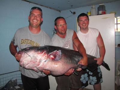 Outdoors: Record catfish caught at Buggs Island Lake