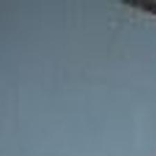 Biggest Catfish Records In The U S