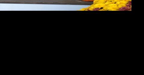Bookmarks | Learn to how to preserve photographs and submit nature photos for display - Vimarsana News