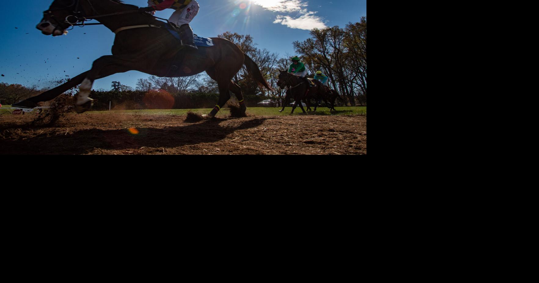 High temperatures and hard falls at Montpelier Hunt Races