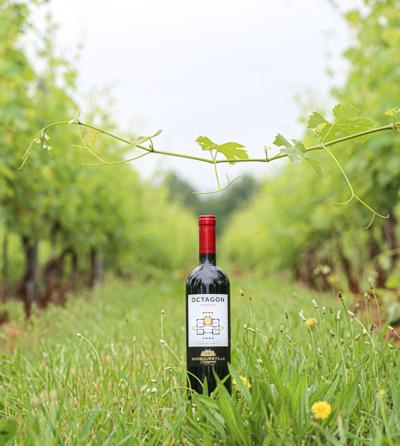 Octogon by Barboursville Vineyards