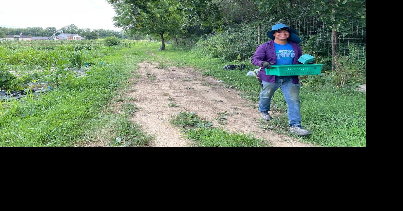 AGRICULTURE Shoppers avoid cyclospora threat, find respite at Waynesboro farm MONIQUE CALELLO The News Leader Aug 5, 2026 1 hr ago