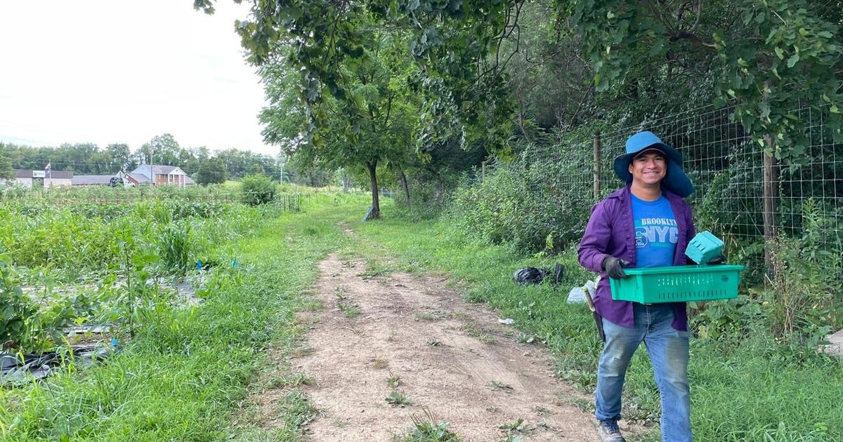 AGRICULTURE Shoppers avoid cyclospora threat, find respite at Waynesboro farm MONIQUE CALELLO The News Leader Aug 5, 2026 1 hr ago