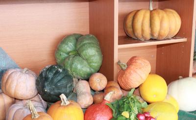 gardening winter squash worth