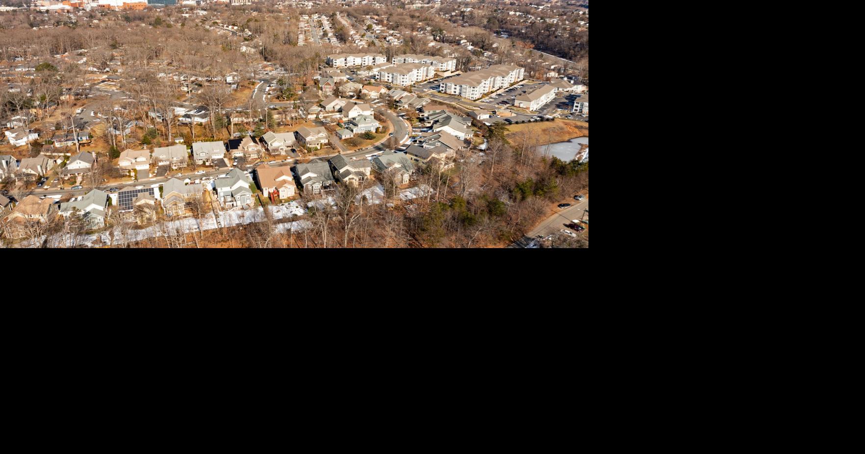 Charlottesville Utilities offers 200 free trees to customers