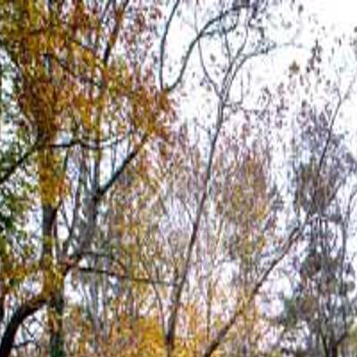 Property Transfers In Charlottesville And Albemarle Propertytransactions Dailyprogress Com