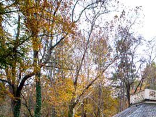 Property Transfers In Charlottesville And Albemarle Propertytransactions Dailyprogress Com