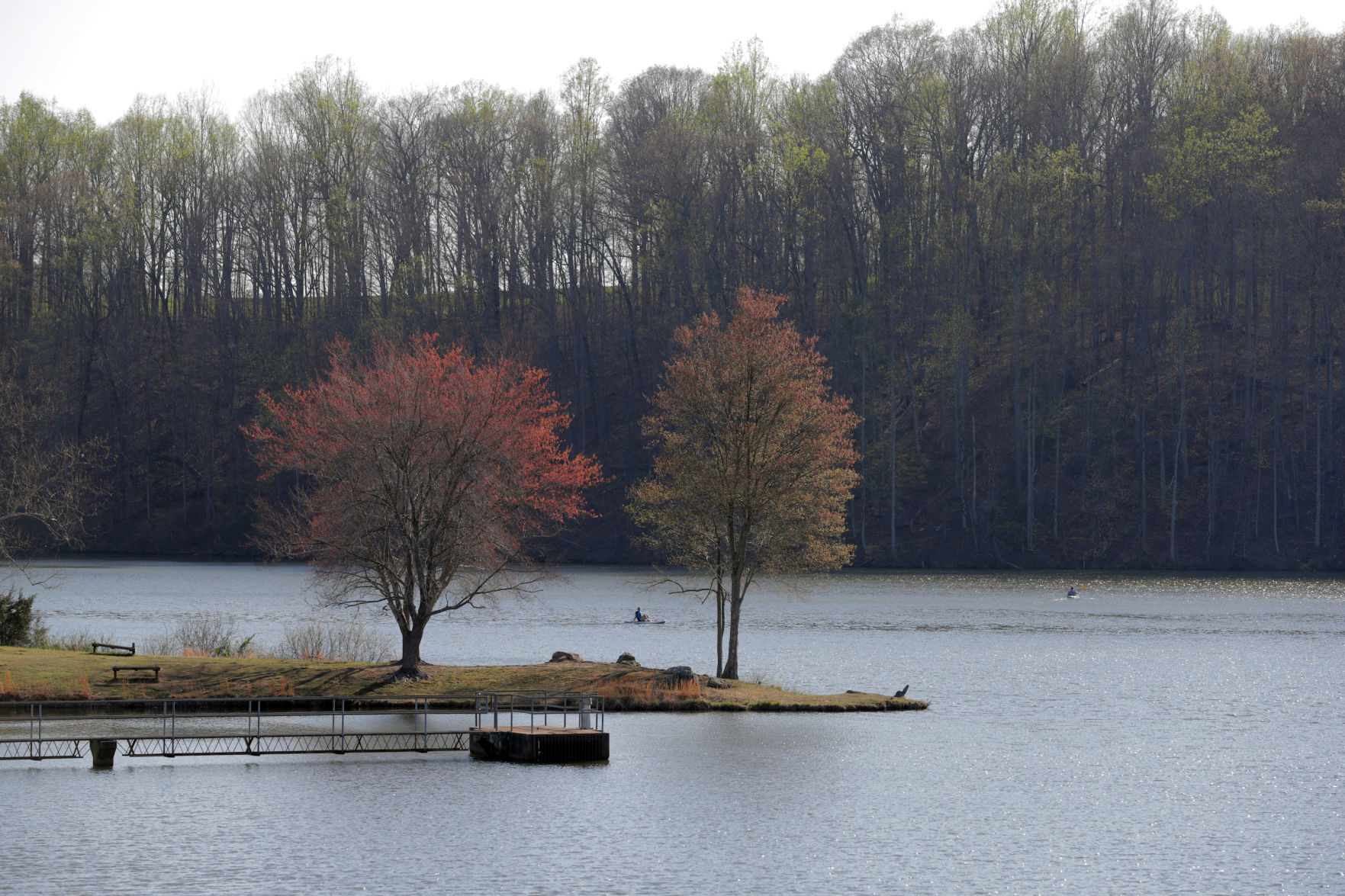 Harmful algal bloom reported in Chris Greene Lake Harmful algal bloom reported in Chris Greene Lake