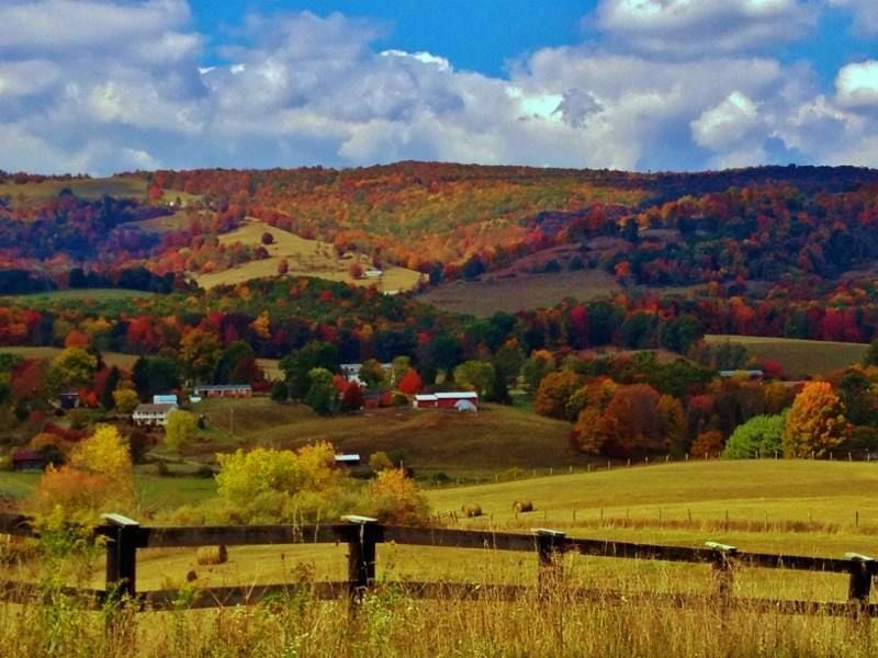 Experts Expect Worst Season In Years For Virginia Fall Foliage