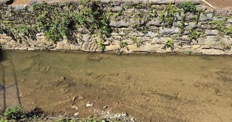 Virginia drought warnings eased in some areas after recent rain