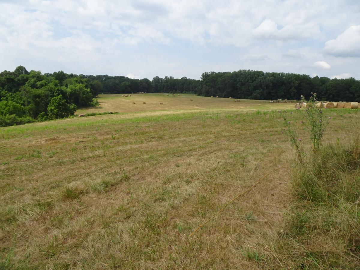 Panorama Farms