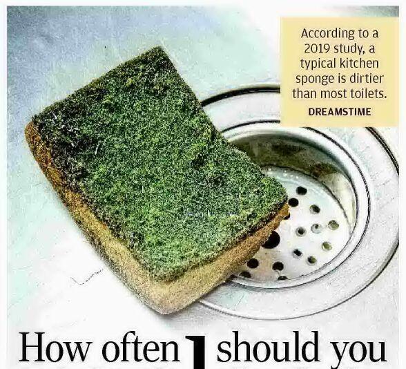 How often should you replace your sponge?