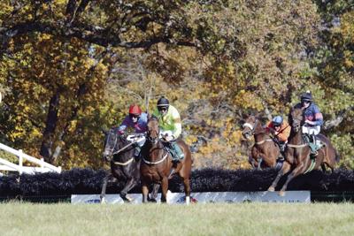 Montpelier Hunt Races 2019