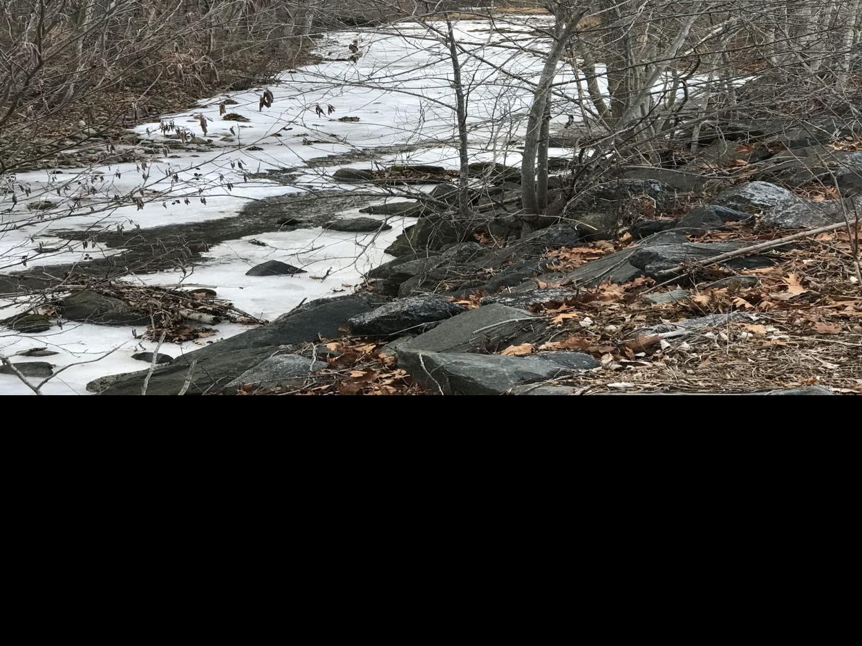 Winter Makes Itself Known In Central Virginia Latest News