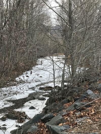 Winter Makes Itself Known In Central Virginia Latest News