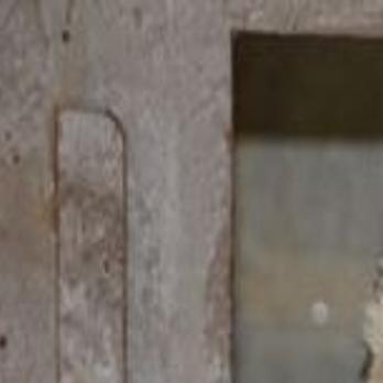 Two new snow leopard cubs now on view at Metro Richmond Zoo