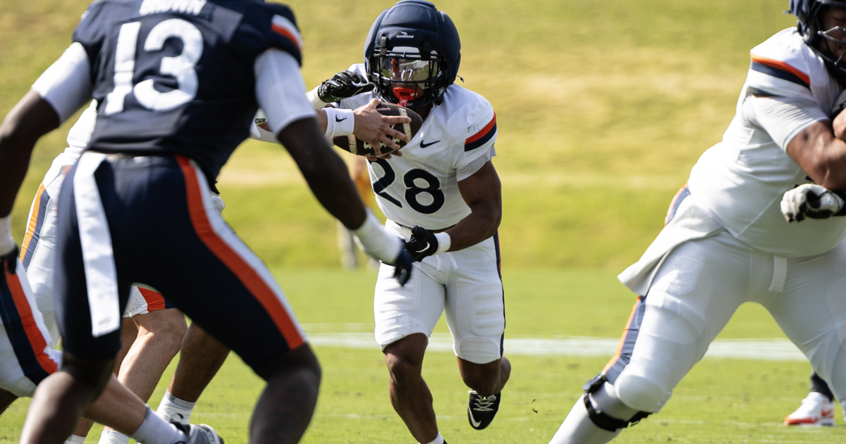 UVa footballer charged with animal cruelty after witness says he punched dog