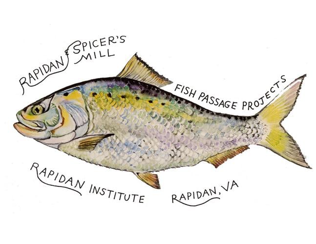 RFPP_logo_Fish Passage Project.jpg