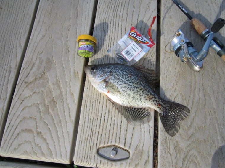 Outdoors: Fish gulp down these baits