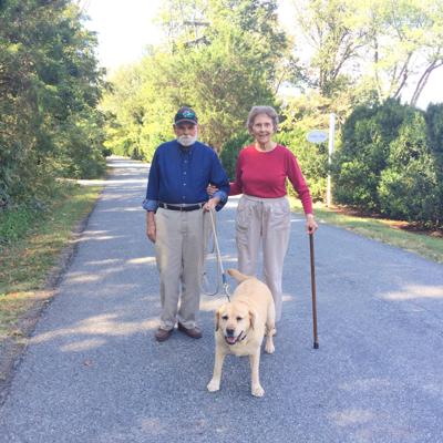 Ginger and the Walkers