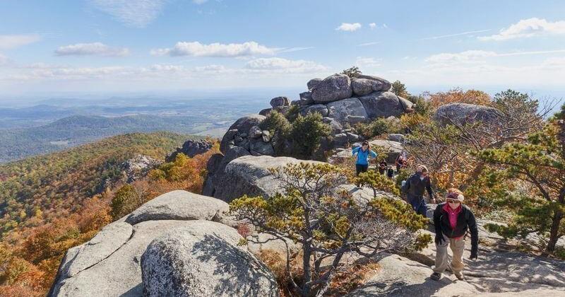 HEALTH & SAFETY Norovirus spreading among hikers on Appalachian Trail in Virginia MONIQUE CALELLO The News Leader Jun 17, 2026 24 mins ago
