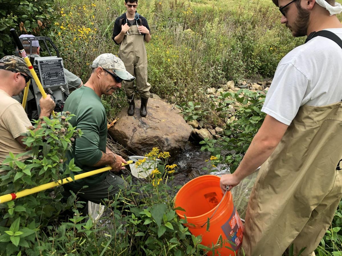Return Of Brook Trout Signals Success Of Trout Stream Restoration Lifestyles Dailyprogress Com This gene encodes a member of the grb2/sem5 (c.