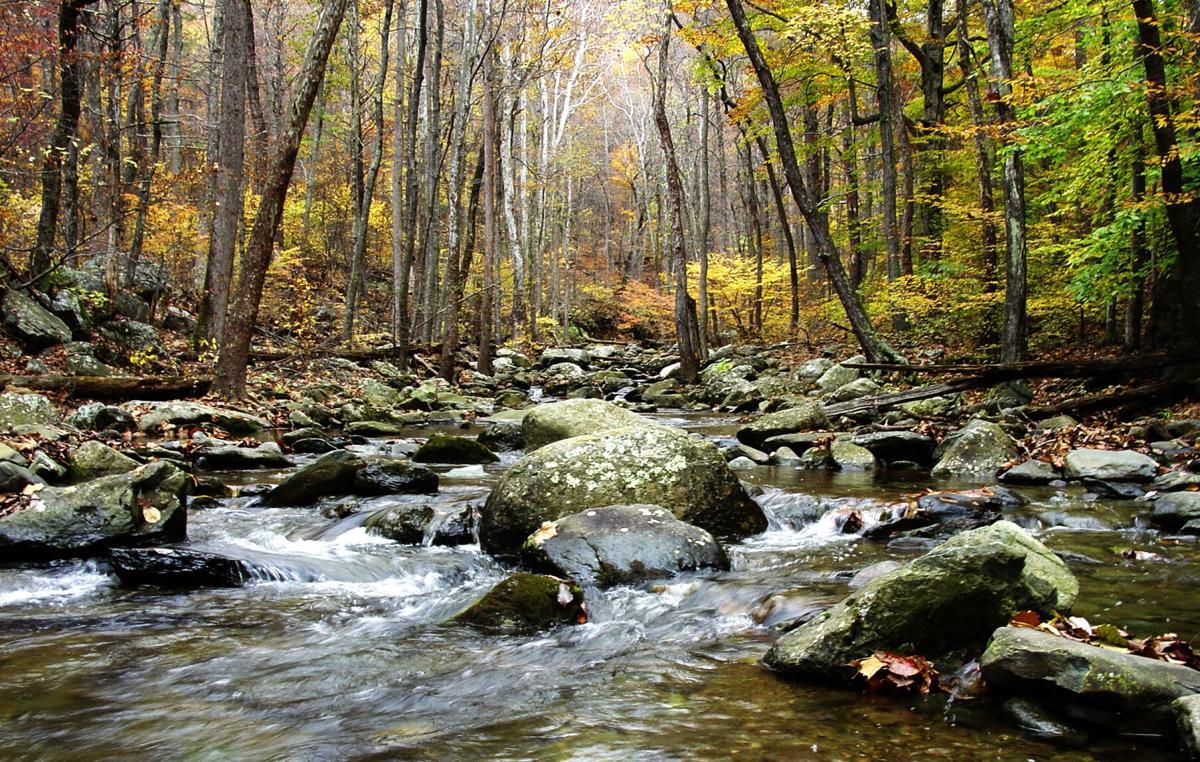 JP_SNP-White Oak Canyon