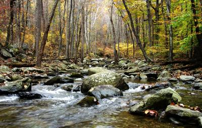 JP_SNP-White Oak Canyon