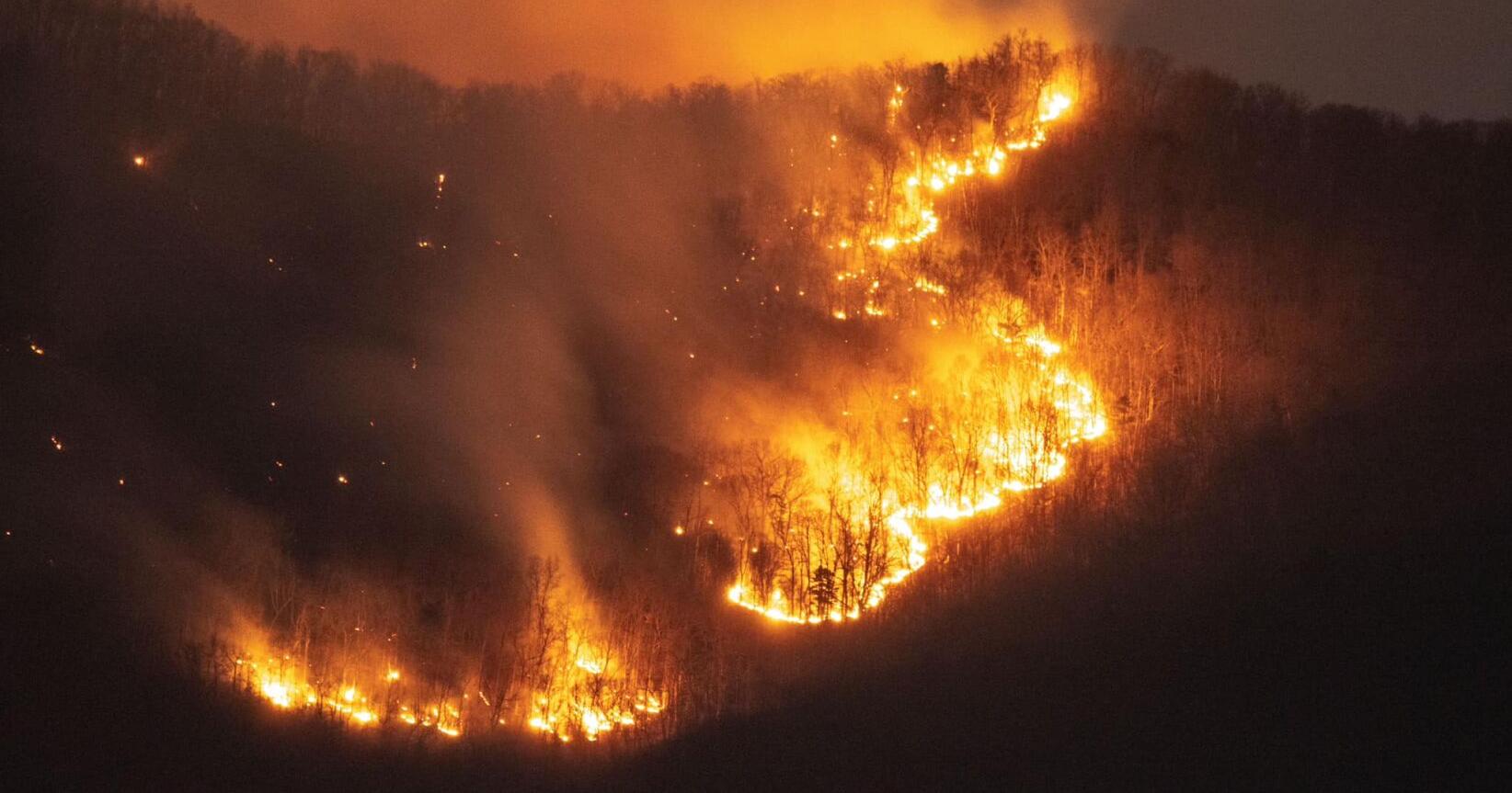 Central Virginia wildfires contained, as Shenandoah fires rage on - Vimarsana News