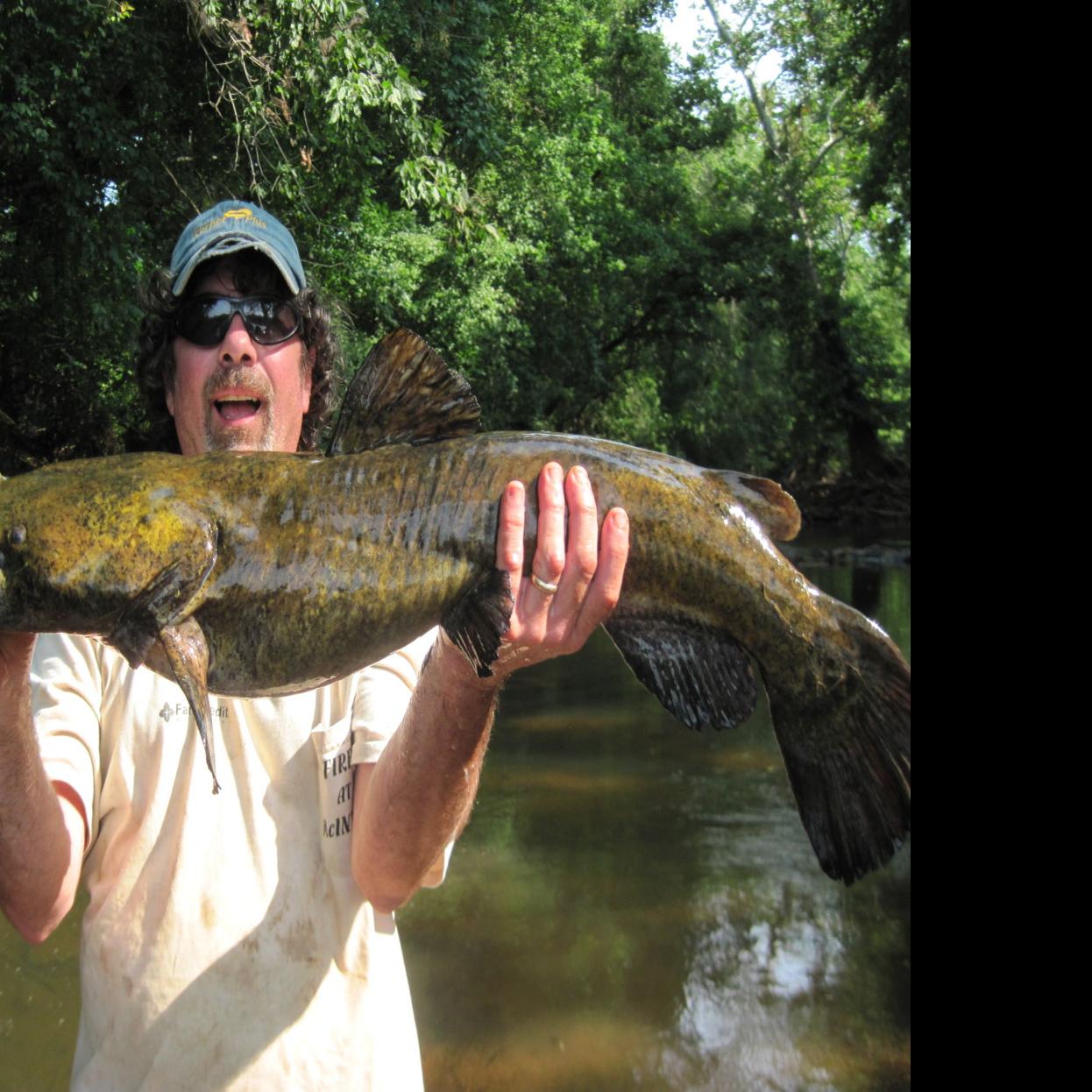 Outdoors Big Flathead Catfish On The James River Sports Dailyprogress Com