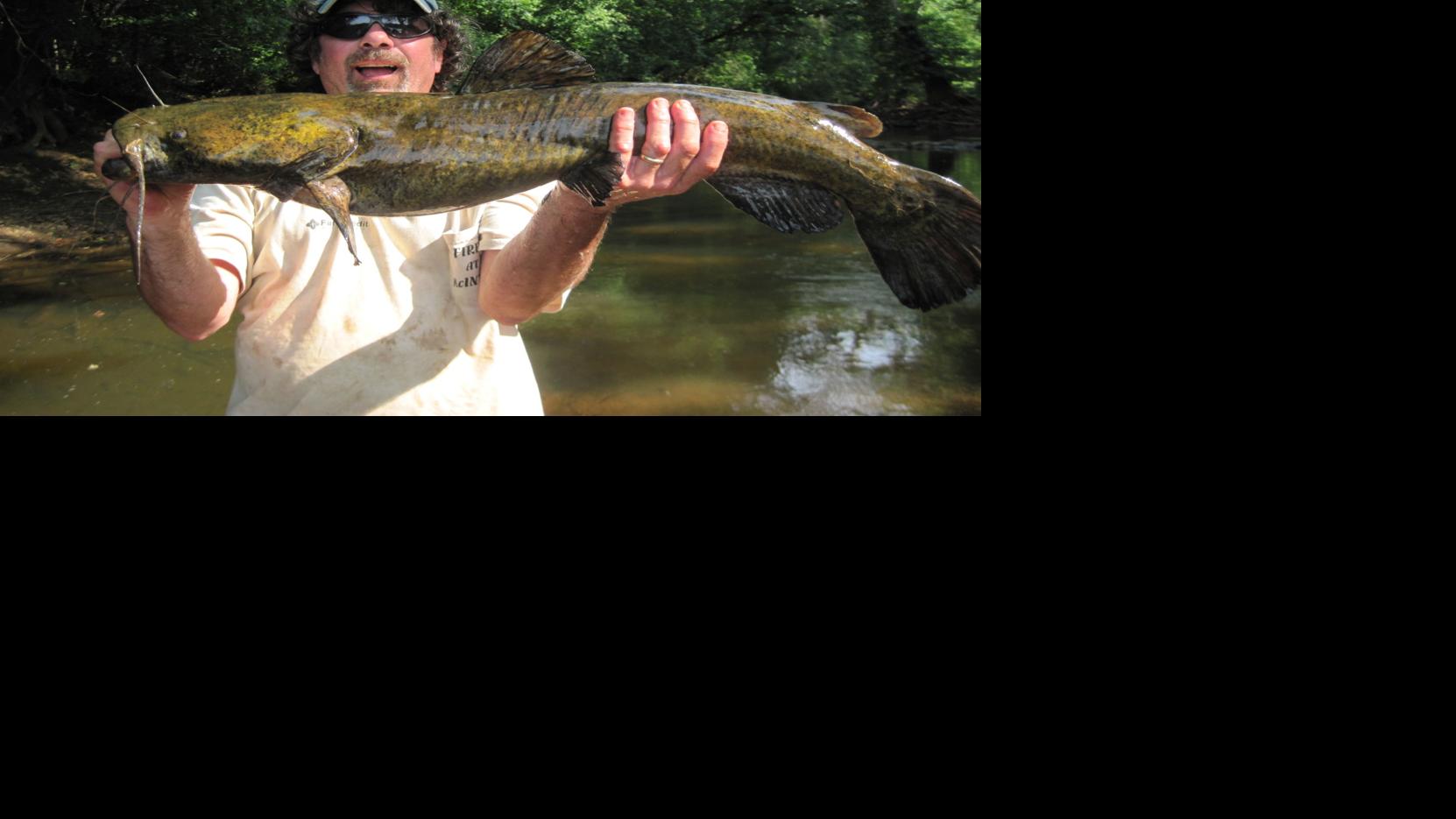Outdoors Big Flathead Catfish On The James River Sports