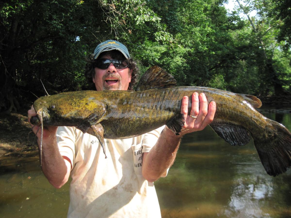 Outdoors: Big flathead catfish on the James River