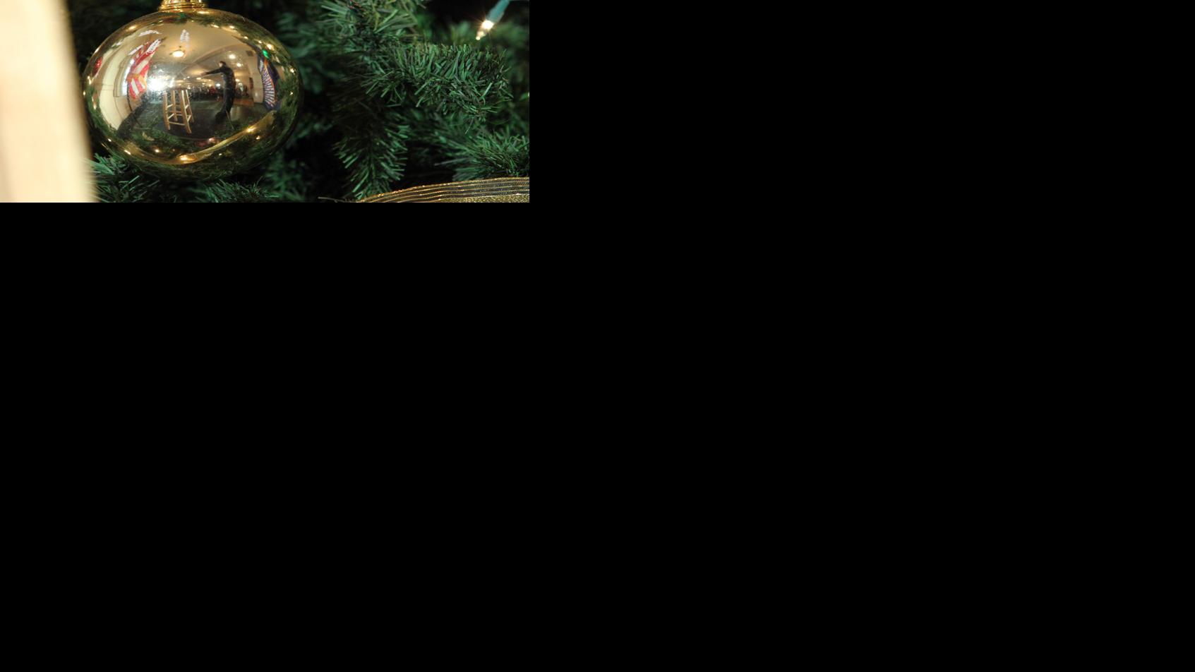 Albemarle County Christmas Tree Recycling 2022 The Rural Virginian