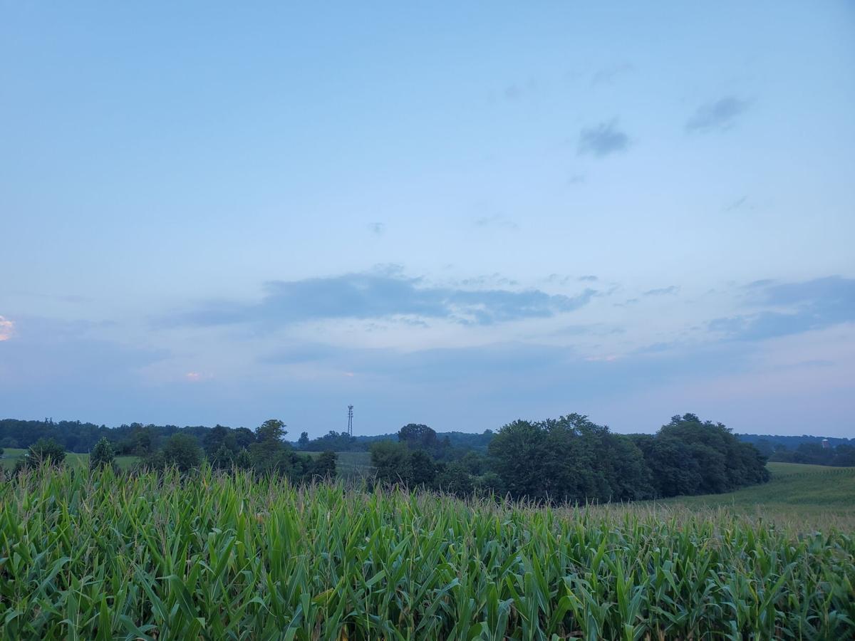 Solar farm
