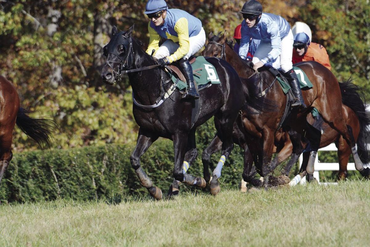 Montpelier Hunt Races canceled for 2020