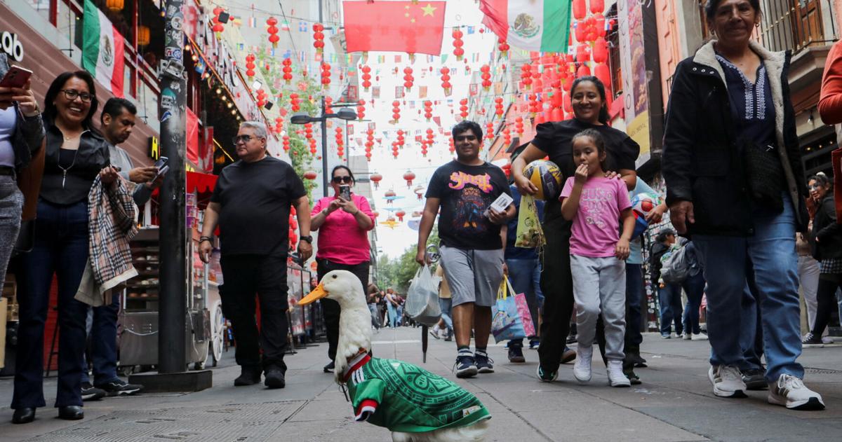 Merlin, die Ente: Von den Straßen Mexiko-Stadts zum WM-Star