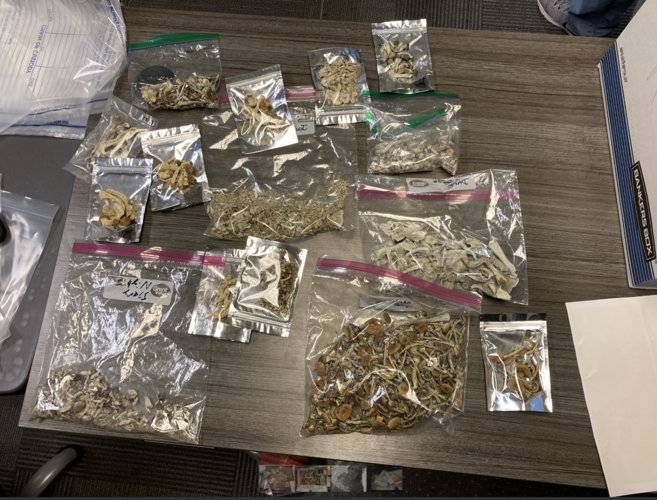Seized drugs