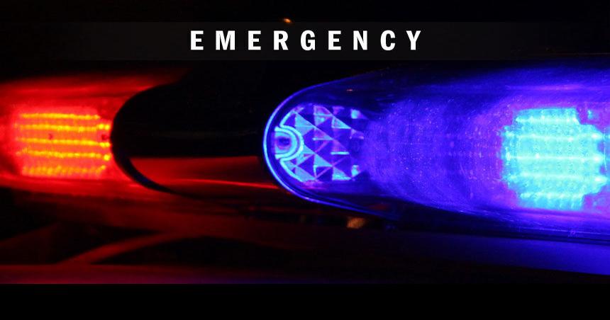 Pedestrian struck by vehicle as she tries to catch fleeing pet ...