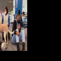 Therapy Dog Brings Smiles to Buford Middle School Students