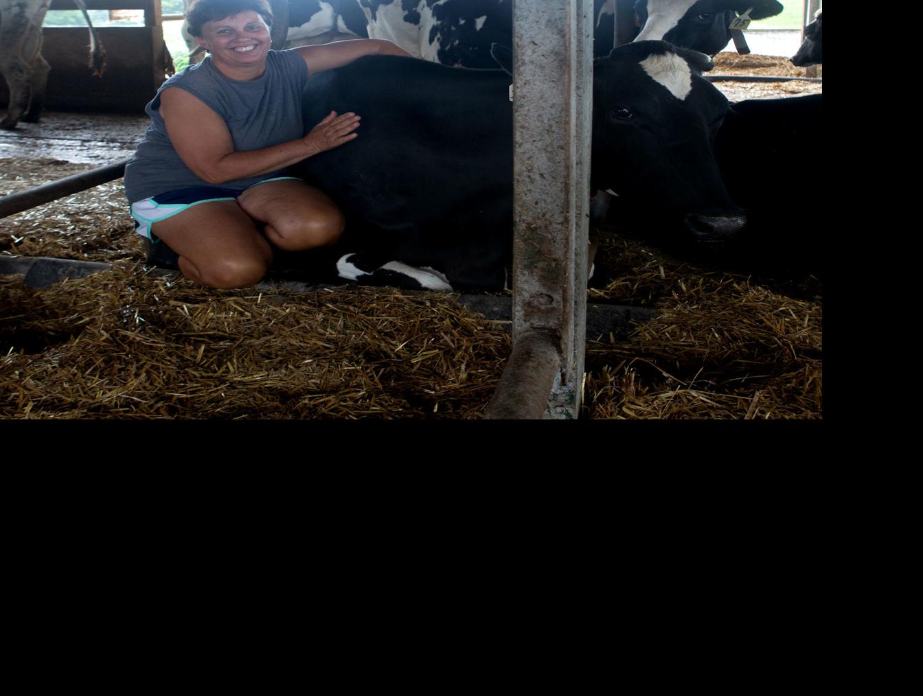 Robotic Milking Parlor Helps Sustain Greene Dairy Latest News Dailyprogress Com
