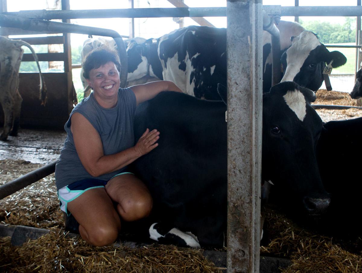 Robotic Milking Parlor Helps Sustain Greene Dairy Latest News Dailyprogress Com