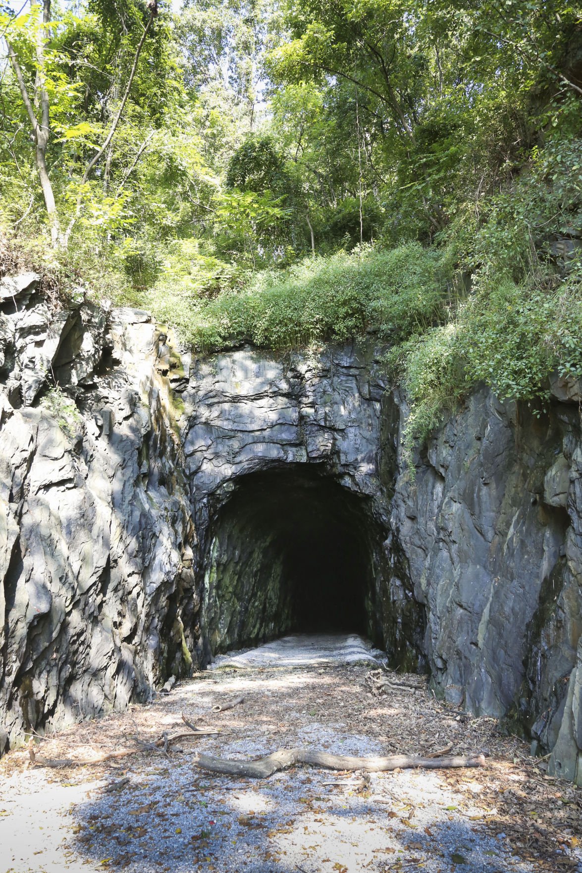 Walk through history an exclusive sneak peek of the Crozet Tunnel