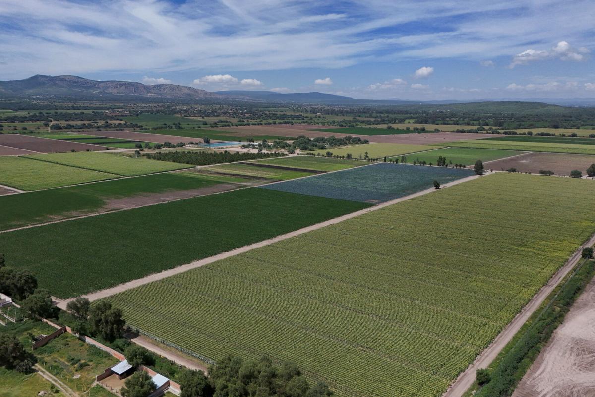 Outbreaks show limits of US ability to safeguard produce from Mexico