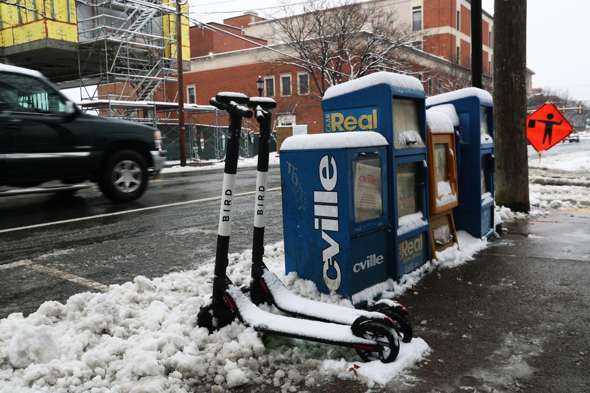 Bird e-scooters