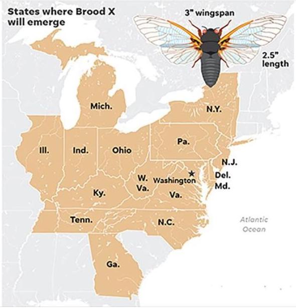 17Year Cicada Map 2021 Maryland Museonart