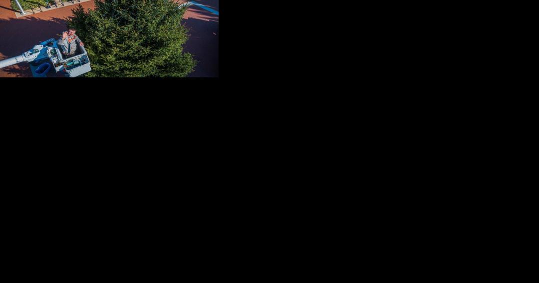 Grand Illumination, Lighting of the Lawn open holiday season in Charlottesville Friday - Vimarsana News